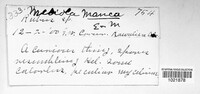 Image Associated With the Occurence